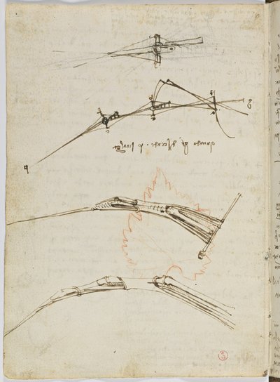 Code sur le vol des oiseaux, c. 1505-06, manuscrit sur papier, cc. 18, feuille 11 verso - Leonardo da Vinci